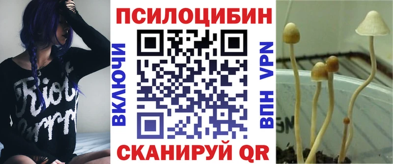 shop телеграм Почеп Псилоцибиновые грибы ЛСД наркотики